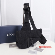 Christian Dior Waist Chest Packs